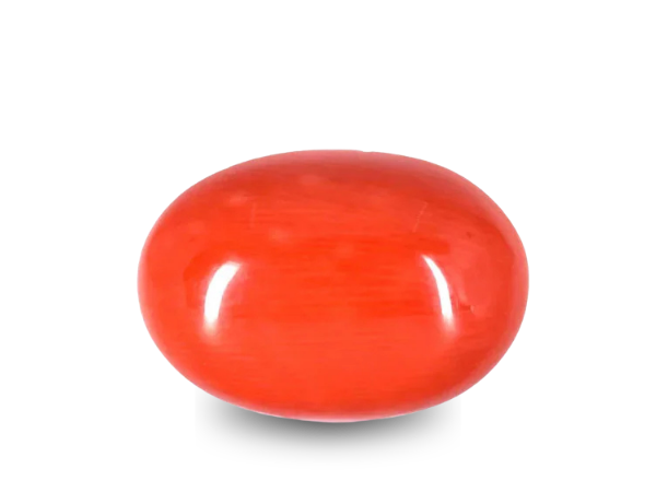 Red Coral-91