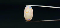 Fire Opal – 11.75 Carat