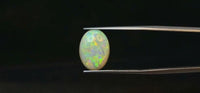 Fire Opal – 4.25 Carat