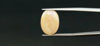 Fire Opal – 7.6 Carat