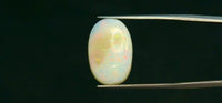 Fire Opal – 6.35 Carat
