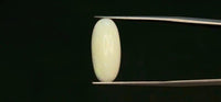 Fire Opal – 3.8 Carat