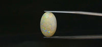 Fire Opal – 6.1 Carat