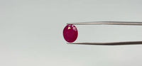 Ruby - 4.8 Carat