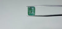 Zambian Emerald – 4.2 Carat