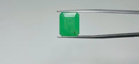 Zambian Emerald – 11.7 Carat