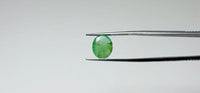 Zambian Emerald – 3.55 Carat