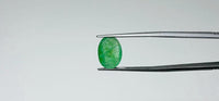Zambian Emerald – 3.3 Carat