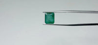 Zambian Emerald – 3.8 Carat