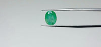 Zambian Emerald – 3.1 Carat