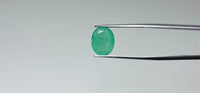 Zambian Emerald – 3.3 Carat