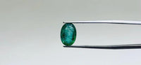 Zambian Emerald – 2.95 Carat