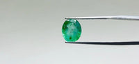 Zambian Emerald – 2.8 Carat