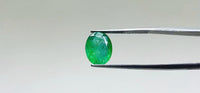 Zambian Emerald – 3.3 Carat