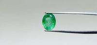 Zambian Emerald – 3.3 Carat