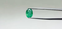 Zambian Emerald – 3 Carat