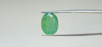 Zambian Emerald – 8.85 Carat