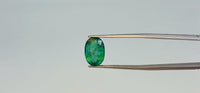 Zambian Emerald – 4.35 Carat