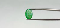 Zambian Emerald – 3.4 Carat