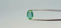 Zambian Emerald – 3.05 Carat