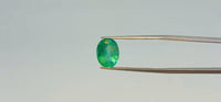 Zambian Emerald – 3.7 Carat