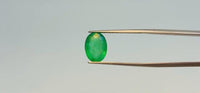 Zambian Emerald – 3.4 Carat