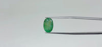 Zambian Emerald – 5 Carat