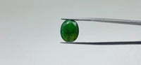 Zambian Emerald – 7.7 Carat