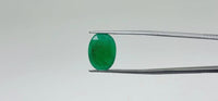 Zambian Emerald – 6.7 Carat