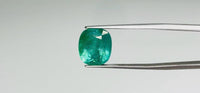 Zambian Emerald – 7.85 Carat