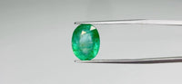 Zambian Emerald – 6.35 Carat