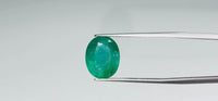 Zambian Emerald – 7.3 Carat