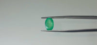 Zambian Emerald – 3.3 Carat