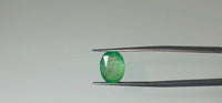 Zambian Emerald – 3.1 Carat