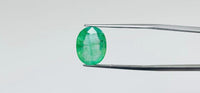 Zambian Emerald – 5.9 Carat