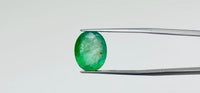 Zambian Emerald – 7.6 Carat