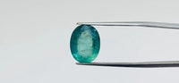 Zambian Emerald – 7.1 Carat
