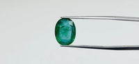 Zambian Emerald – 4.4 Carat