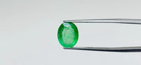 Zambian Emerald – 3.55 Carat