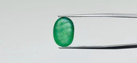 Zambian Emerald – 5.9 Carat