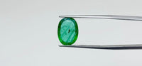 Zambian Emerald – 3.7 Carat
