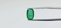 Zambian Emerald – 3.6 Carat