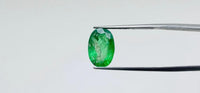 Zambian Emerald – 4.4 Carat