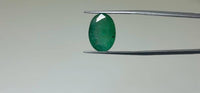 Zambian Emerald – 9.55 Carat