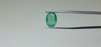 Zambian Emerald – 4.3 Carat