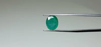 Zambian Emerald – 3.9 Carat