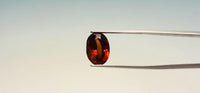 Hessonite – 6.9 Carat