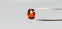 Hessonite – 6.55 Carat