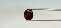 Hessonite – 14.5 Carat