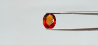 Hessonite – 6.55 Carat
